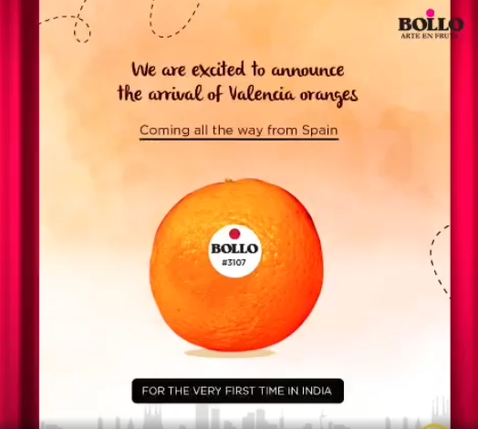 Primera exportación naranjas Bollo a India