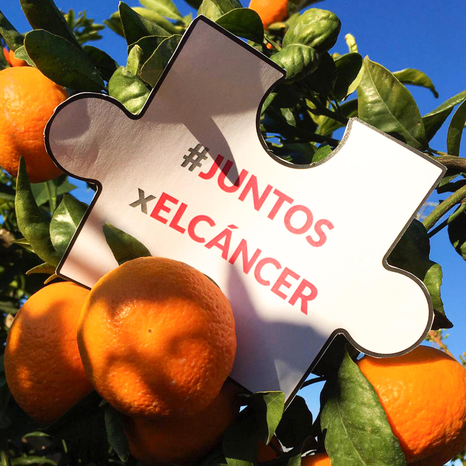 Bollo España y Bollo Brasil se unen a la 4º edición de #JuntosxElCáncer