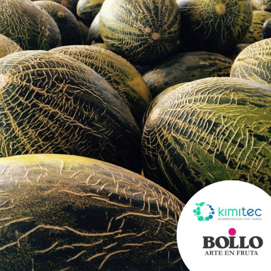Sostenibilidad: Bollo Fruits + Kimitec