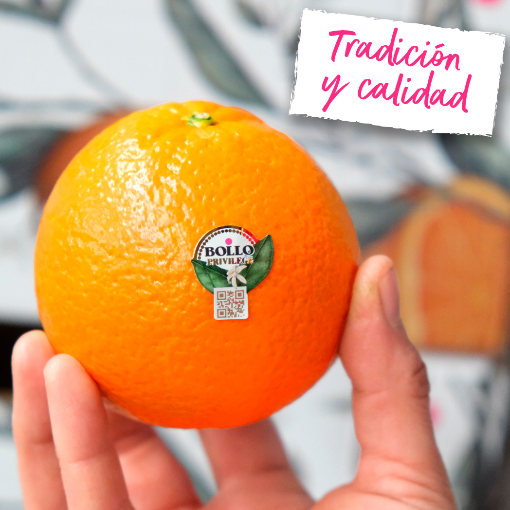Naranjas Bollo: Tradición y Calidad