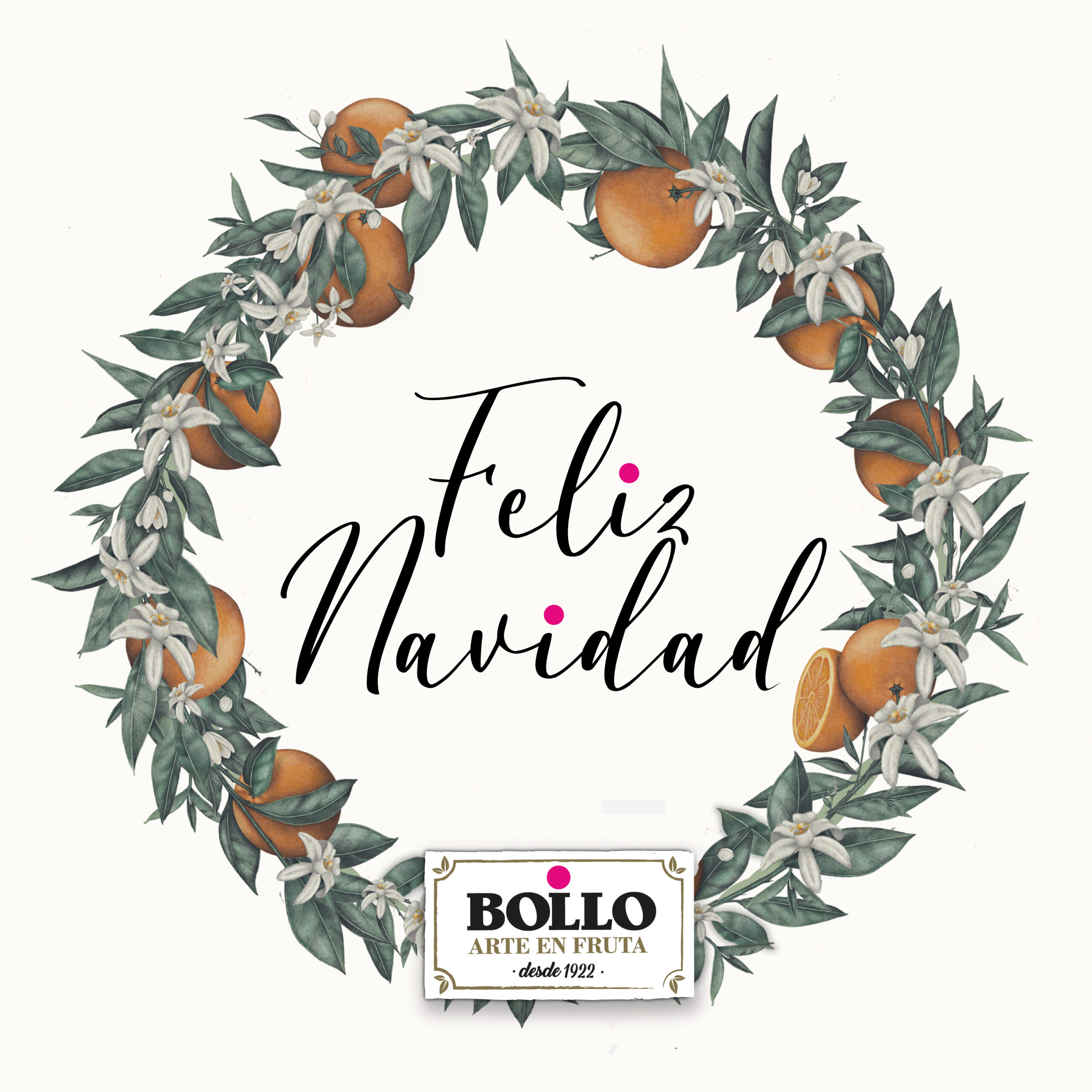 ¡Bollo os desea una Feliz Navidad!