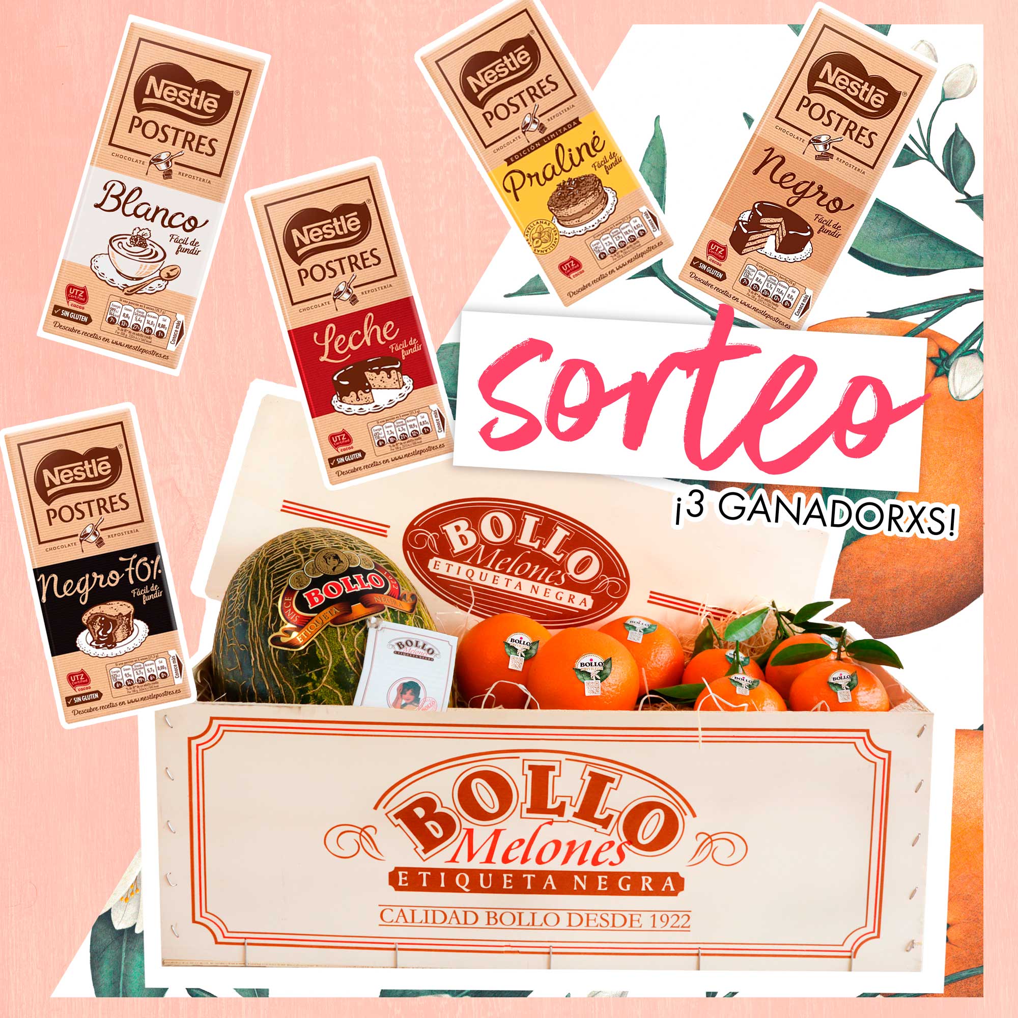 Bases legales Sorteo Bollo Fruits & Nestlé Postres
