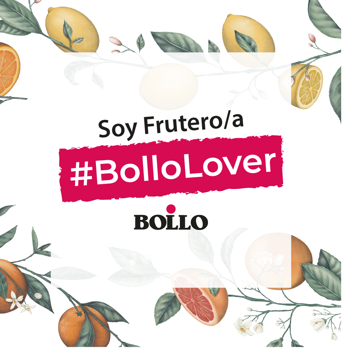 Fruterx “BolloLover”